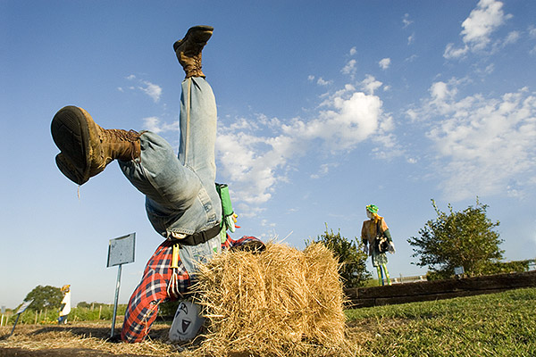 Scarecrow Trail--Verona Extension Center