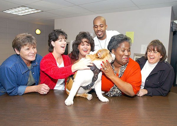 Bully visits Registrar office