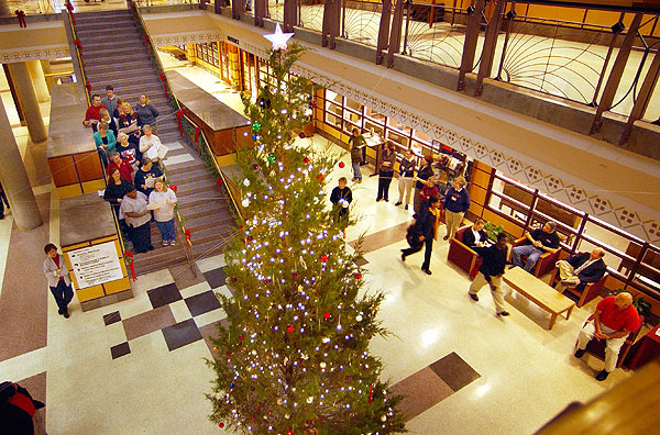 Lighting of the Library Christmas tree