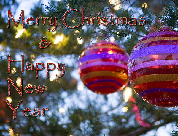 Merry Christmas & Happy New Year