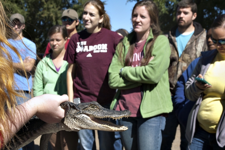 Alligator Visits Wildlife &amp;amp;amp; Fisheries Class