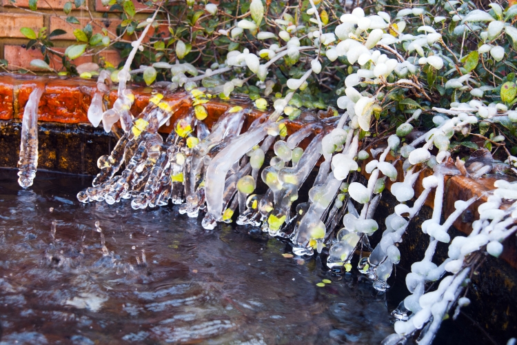 Chapel Fountain Frozen