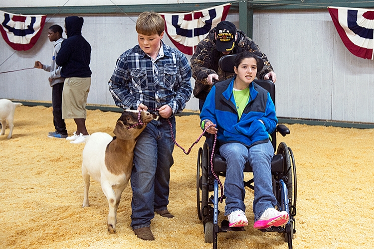 Livestock Show for Special Needs Students