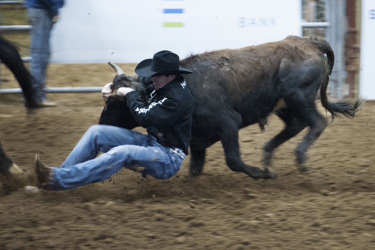 Rotary Class Rodeo - MSU Horse Park