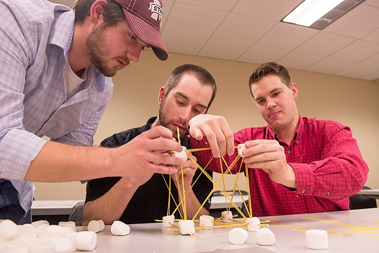 Marshmallow Towers