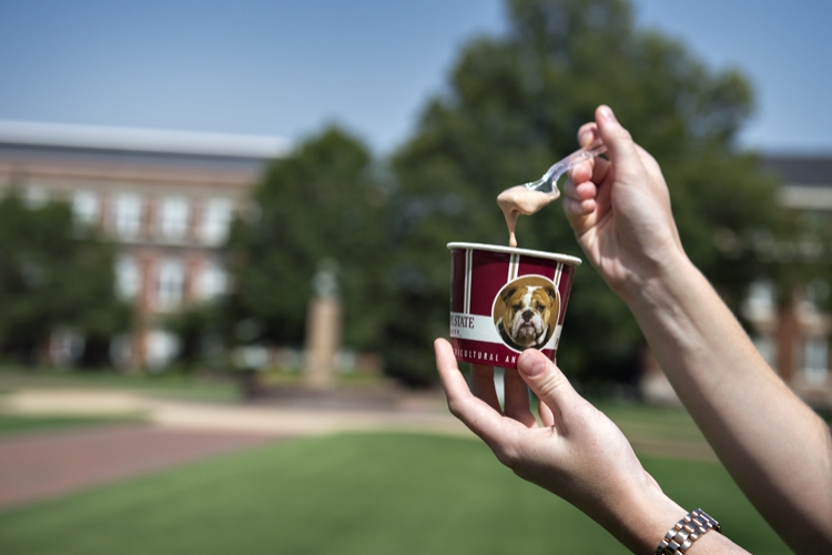 MSU Ice Cream for National Ice Cream Month