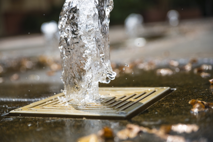 A Familiar Fountain