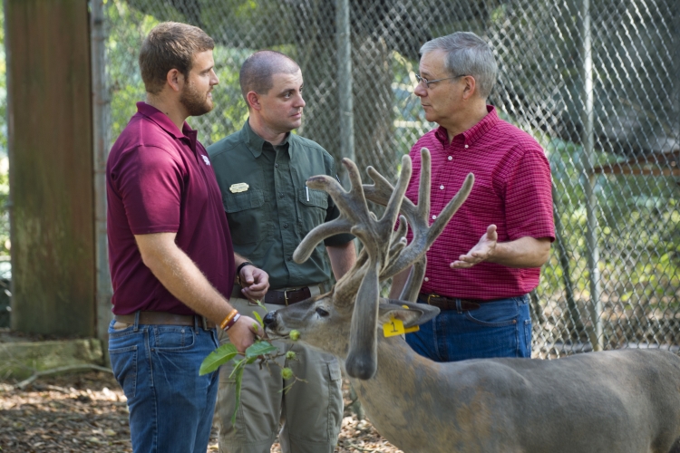 Deer Research at South Farm