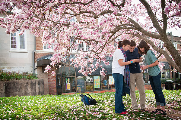 Student filming under a Japanese Magnolia tree