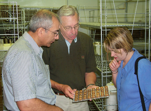 Entomology professor demonstrates insect growing procedures