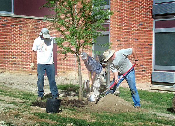 Planting a tree on campus