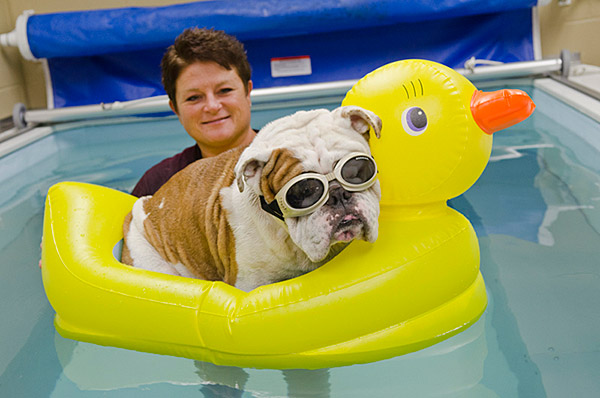 R&R for Bully Champ Before Football Season Kickoff