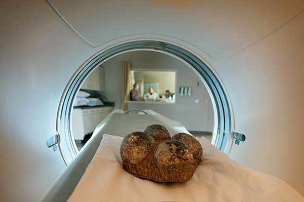 Dinosaur eggs CT scan