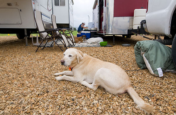 Hurricane Gustav Evacuees stay at MSU's Horse Park