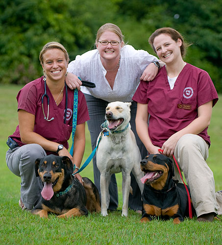 Krista Gazzola and Friends