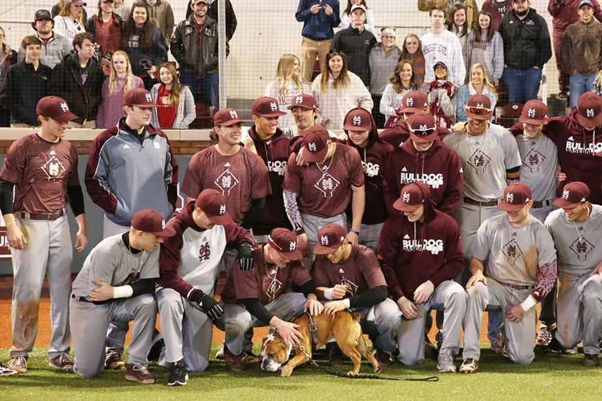 Members of MSU&amp;amp;#039;s baseball team scratch the back of school&amp;amp;#039;s bulldog mascot prior to a photo