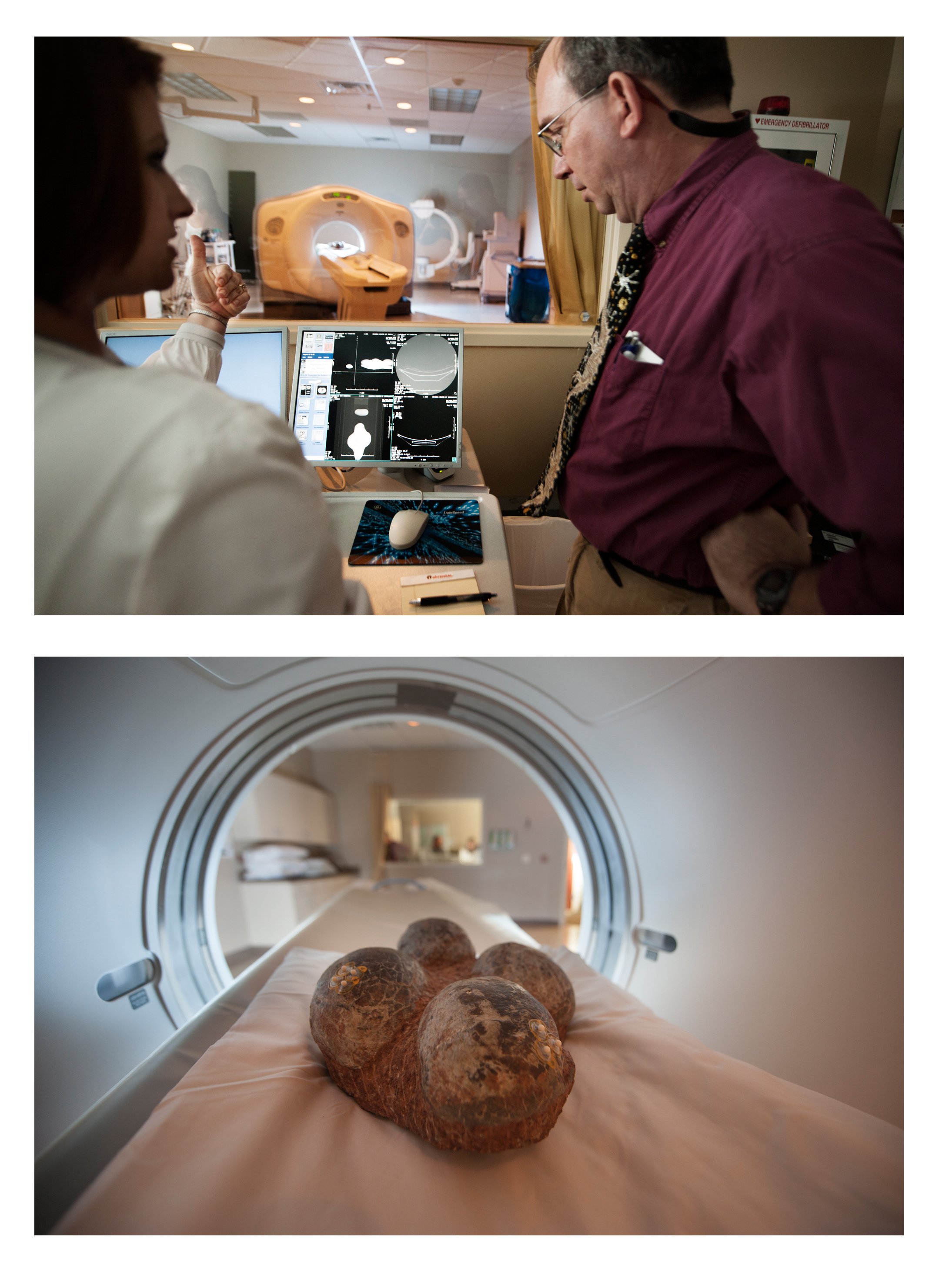 Top: Robin Luke, left, director at Premier Imaging of Starkville, explains how data sets of images are created through the LightSpeed VCT 64-Slice CT Scanner to MSU doctoral student John Paul Jones, owner of the dinosaur eggs fossil Luke scanned. Using the detail provided by the images, Jones hopes to be able to identify the species of dinosaur inside the eggs.</p><br />
<p>Bottom: Four fossilized dinosaur eggs, part of a clutch found approximately one decade ago by MSU doctoral degree candidate John Paul Jones, imaged by a high-resolution CT Scanner, a research tool available because of a partnership between the university's Institute for Imaging & Analytical Technology and Premier Imaging of Starkville.<br /><br />
Top: Robin Luke, left, director at Premier Imaging of Starkville, explains how data sets of images are created through the LightSpeed VCT 64-Slice CT Scanner to MSU doctoral student John Paul Jones, owner of the dinosaur eggs fossil Luke scanned. Using the detail provided by the images, Jones hopes to be able to identify the species of dinosaur inside the eggs.</p><br />
<p>Bottom: Four fossilized dinosaur eggs, part of a clutch found approximately one decade ago by MSU doctoral degree candidate John Paul Jones, imaged by a high-resolution CT Scanner, a research tool available because of a partnership between the university's Institute for Imaging & Analytical Technology and Premier Imaging of Starkville.<br /><br />