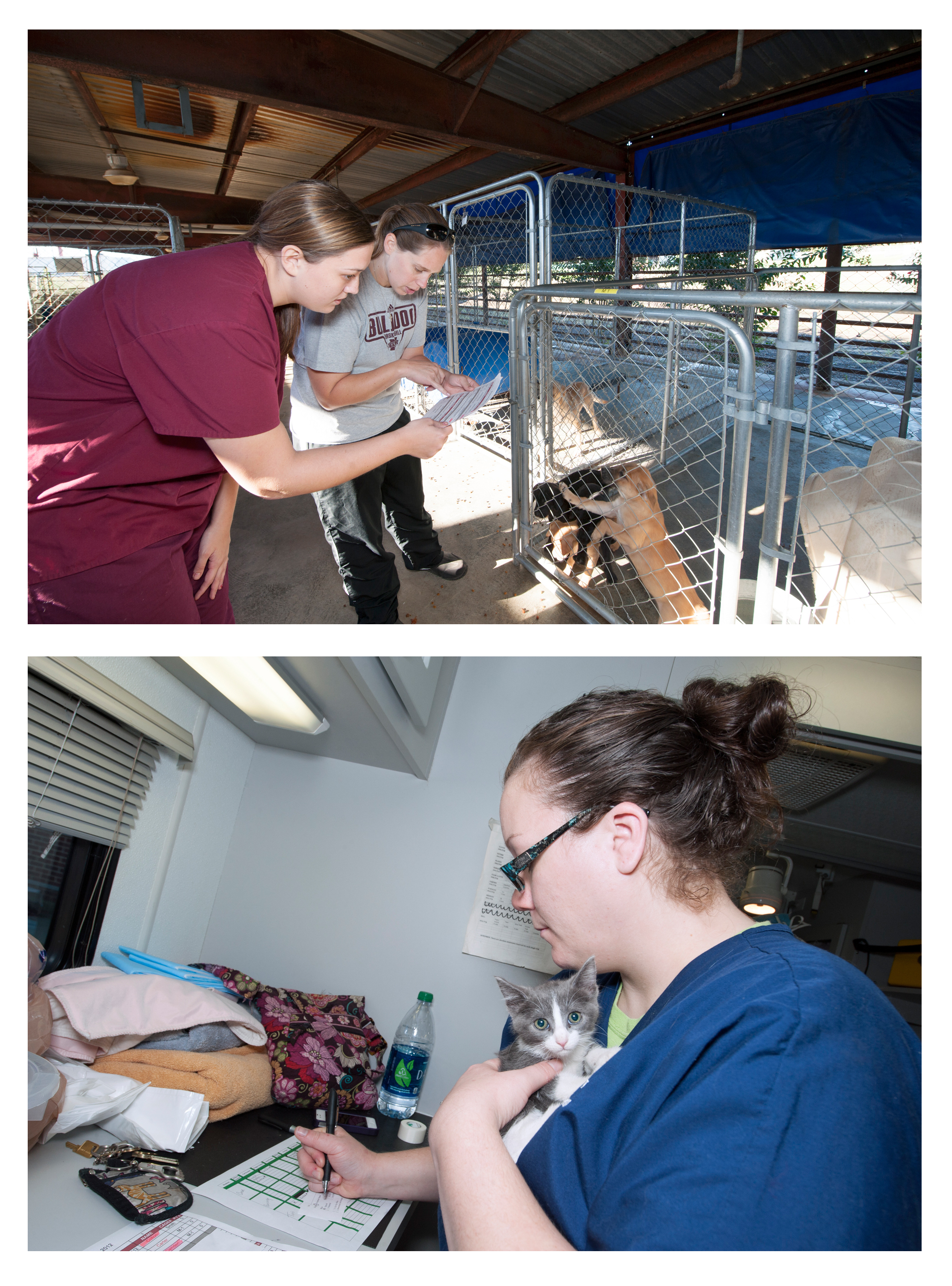 Top: Tori Hall, left, a third-year veterinary student from Newtown, Ohio, and Katy Wallace, of the West Point-Clay County Animal Shelter, look over puppies scheduled to be spayed or neutered during a recent local visit by MSU's Mobile Veterinary Clinic.<br />
Bottom: Emily Childers, a certified veterinary technician who accompanies Mississippi State veterinary students and their professors to 15 area animal shelters, holds a kitten in the Mobile Veterinary Clinic as she fills out paperwork shortly after arriving at an area animal shelter. 
