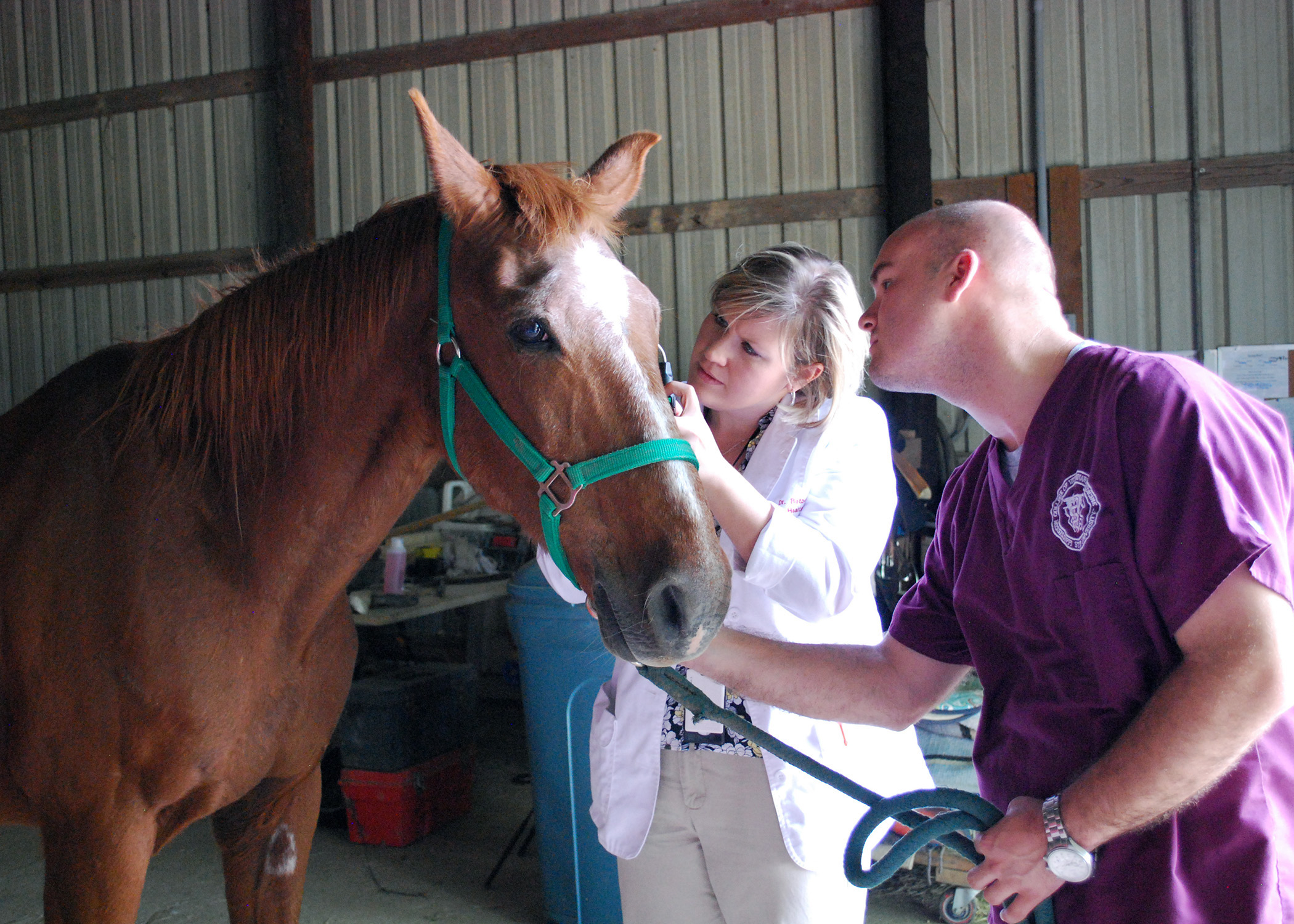 Dr. Caroline Betbeze of MSU's College of Veterinary Medicine will be providing free eye exams next month for certified service animals in the area. Last year, she performed the service for horses at Palmer Home in Columbus, with assistance of veterinary student Steven Davison. Dr. Caroline Betbeze of MSU's College of Veterinary Medicine will be providing free eye exams next month for certified service animals in the area. Last year, she performed the service for horses at Palmer Home in Columbus, with assistance of veterinary student Steven Davison.