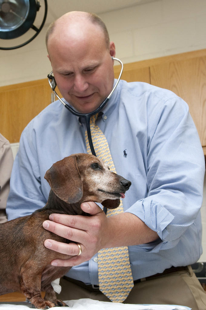 Dr. Todd Archer Dr. Todd Archer