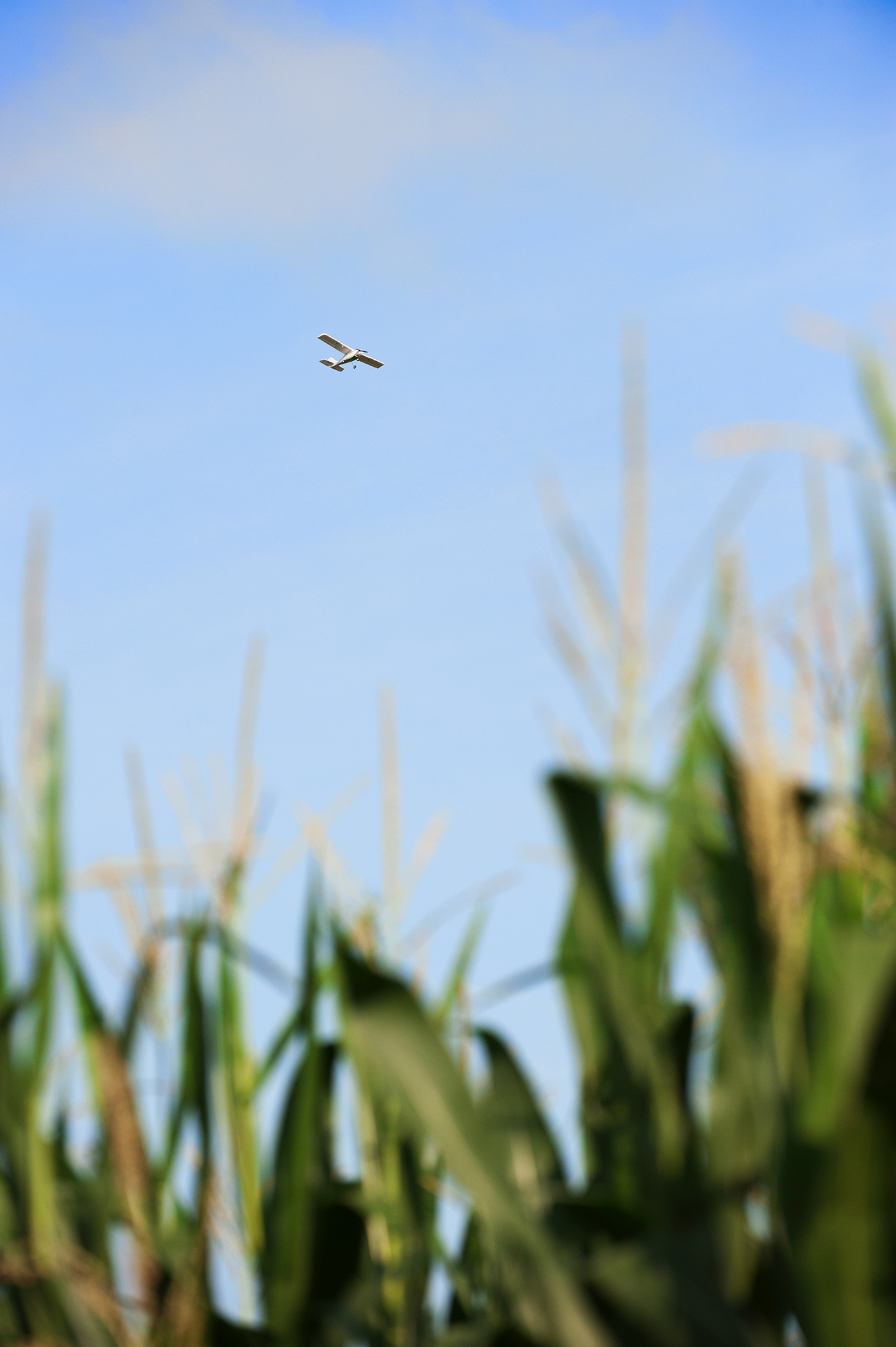 A fixed-wing unmanned aerial vehicle flies above a research plot of corn at Mississippi State's R.R. Foil Plant Science Research Center. MSU's Geosystems Research Institute collaborates with university agronomists on several projects involving the use of unmanned aerial systems in precision agriculture. A fixed-wing unmanned aerial vehicle flies above a research plot of corn at Mississippi State's R.R. Foil Plant Science Research Center. MSU's Geosystems Research Institute collaborates with university agronomists on several projects involving the use of unmanned aerial systems in precision agriculture.