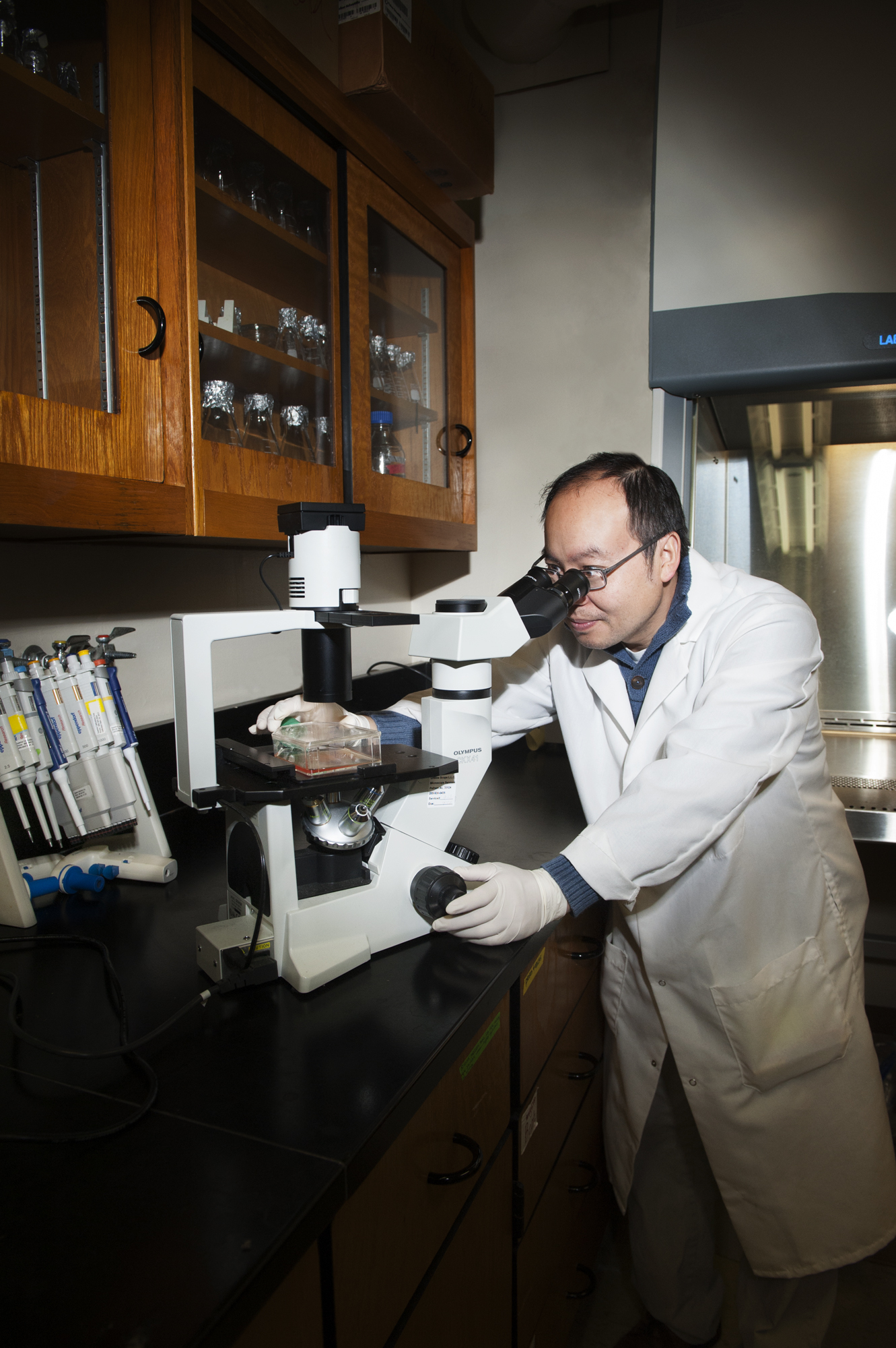 Dr. Henry Wan, associate professor of systems biology, works in his lab at MSU's College of Veterinary Medicine. Dr. Henry Wan, associate professor of systems biology, works in his lab at MSU's College of Veterinary Medicine.
