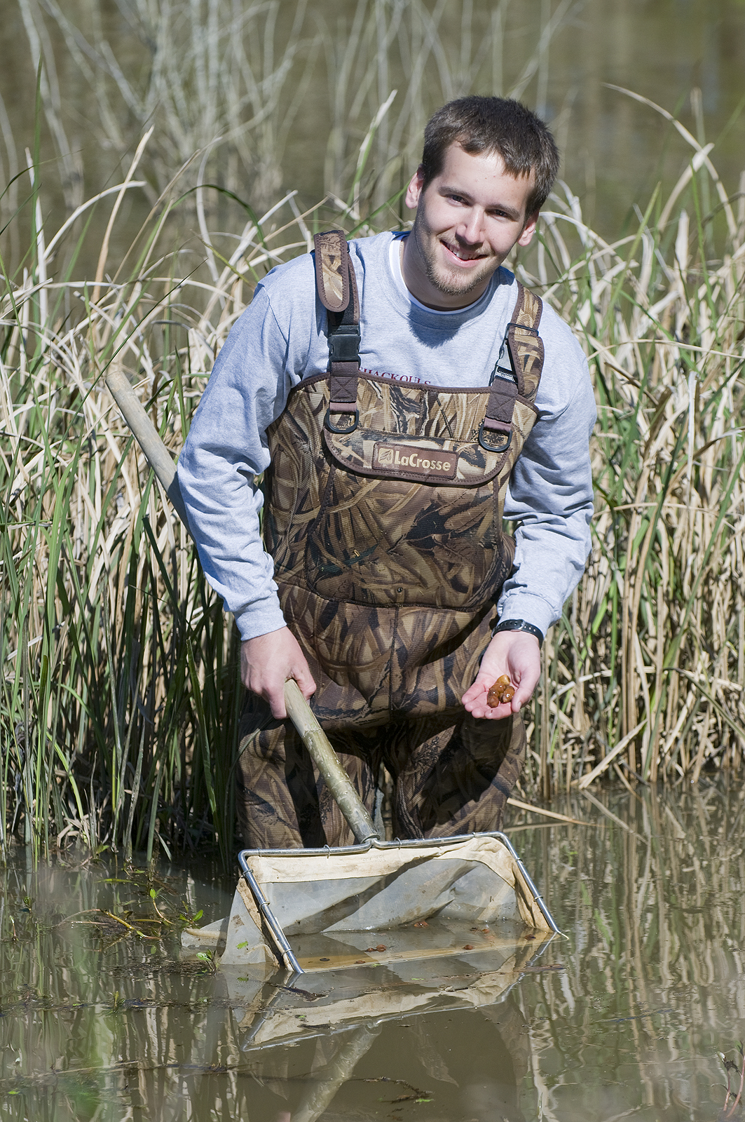 MSU Goldwater Scholar Mitch Weegman MSU Goldwater Scholar Mitch Weegman