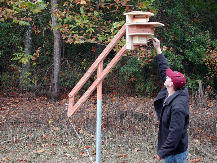 <br /><br />
MSU architecture major Marshall Graves of Jackson with the bird dwelling he designed. <br /><br />
MSU architecture major Marshall Graves of Jackson with the bird dwelling he designed.