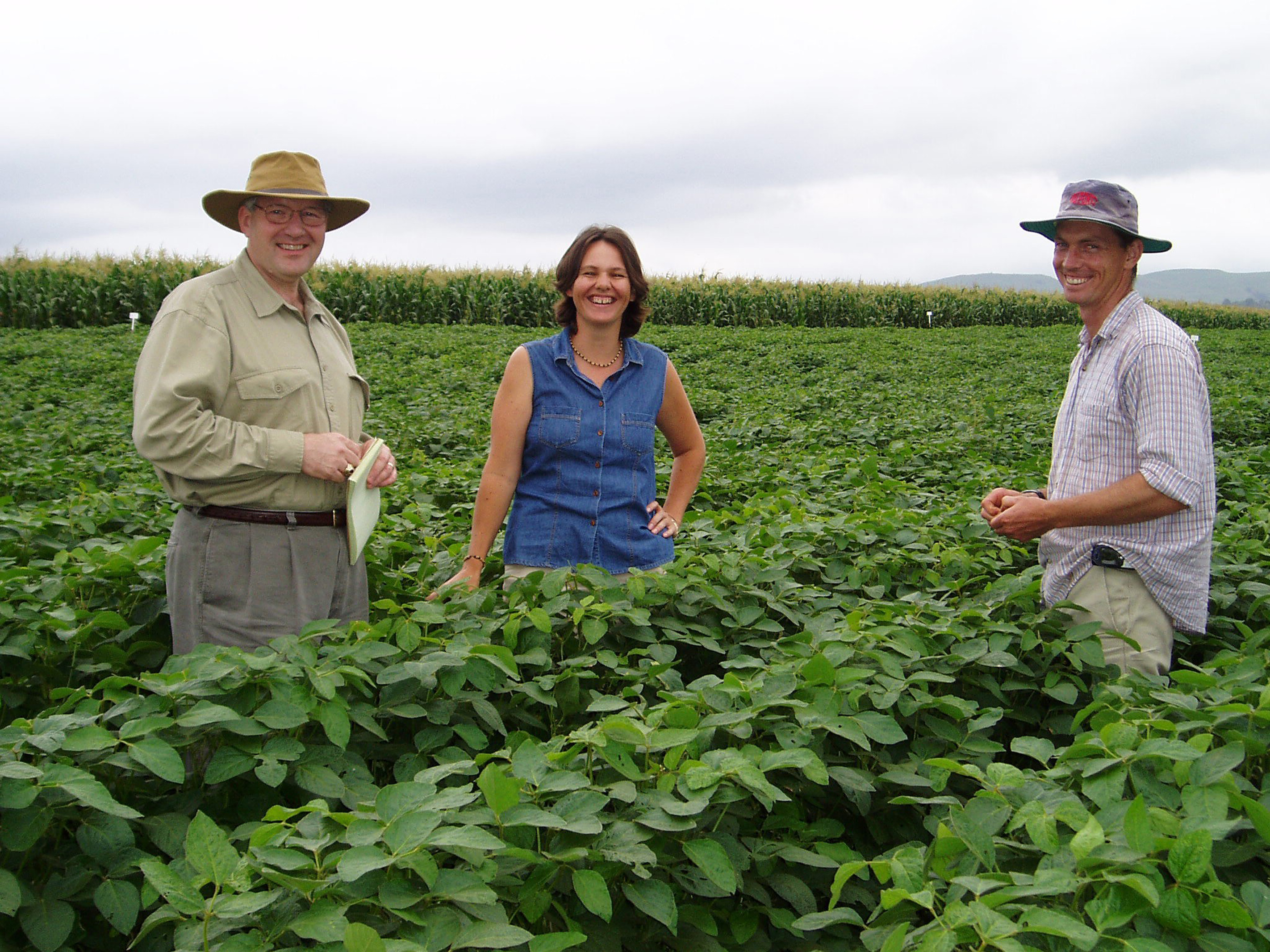 Mississippi State scientist Roger King (l-r), associate research director of the university's GeoResources Institute, and South African plant specialists Eve duPreez and Neil van Rij inspect a soybean field at the Cedara research farm in South Africa. They were looking for signs of soybean rust, a devastating crop disease that is the focus of a GRI study on potential threats of biological terrorism. Mississippi State scientist Roger King (l-r), associate research director of the university's GeoResources Institute, and South African plant specialists Eve duPreez and Neil van Rij inspect a soybean field at the Cedara research farm in South Africa. They were looking for signs of soybean rust, a devastating crop disease that is the focus of a GRI study on potential threats of biological terrorism.